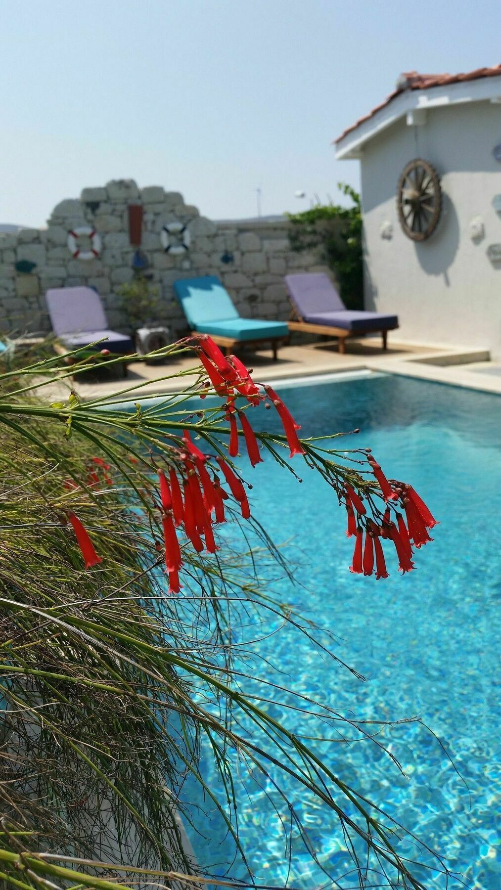 Cassiopeia Hotel Алачати Экстерьер фото